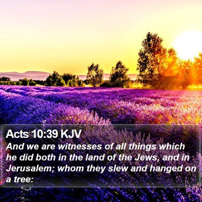 Acts 10:39 KJV Bible Verse Image