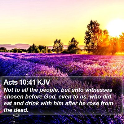 Acts 10:41 KJV Bible Verse Image