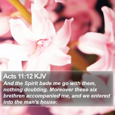 Acts 11:12 KJV Bible Verse Image