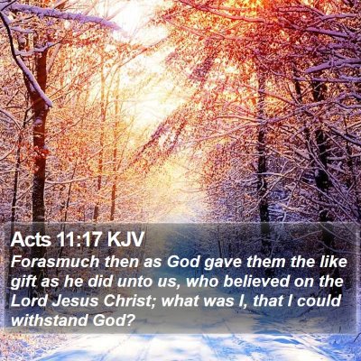 Acts 11:17 KJV Bible Verse Image