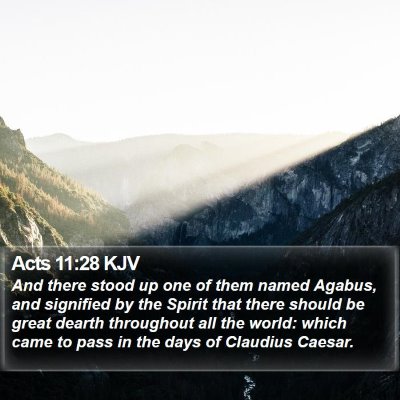 Acts 11:28 KJV Bible Verse Image