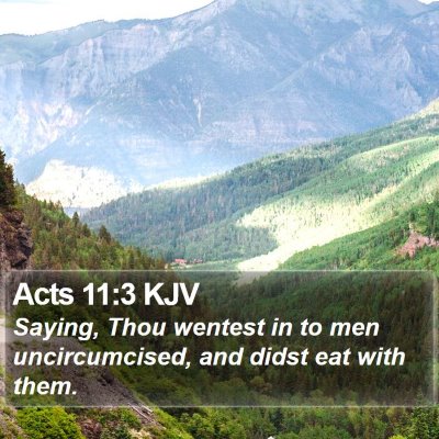 Acts 11:3 KJV Bible Verse Image