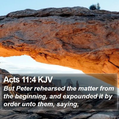Acts 11:4 KJV Bible Verse Image