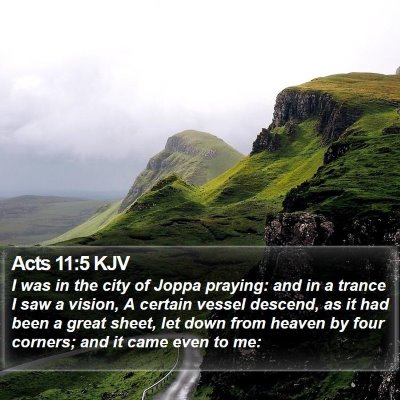 Acts 11:5 KJV Bible Verse Image