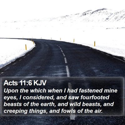 Acts 11:6 KJV Bible Verse Image