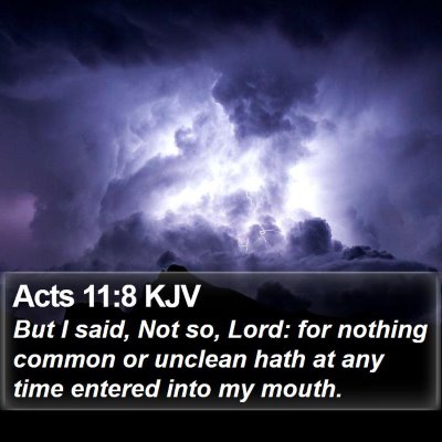 Acts 11:8 KJV Bible Verse Image
