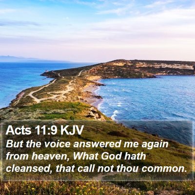 Acts 11:9 KJV Bible Verse Image