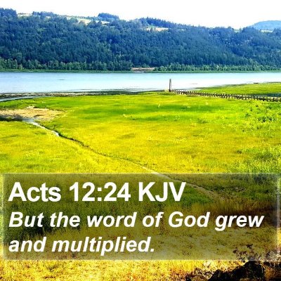 Acts 12:24 KJV Bible Verse Image