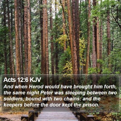 Acts 12:6 KJV Bible Verse Image
