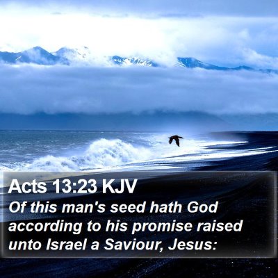 Acts 13:23 KJV Bible Verse Image