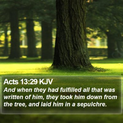 Acts 13:29 KJV Bible Verse Image