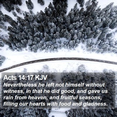 Acts 14:17 KJV Bible Verse Image
