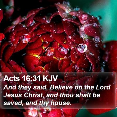Acts 16:31 KJV Bible Verse Image