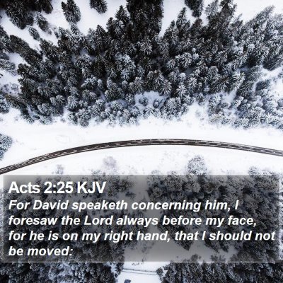 Acts 2:25 KJV Bible Verse Image