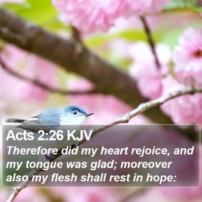 Acts 2:26 KJV Bible Verse Image