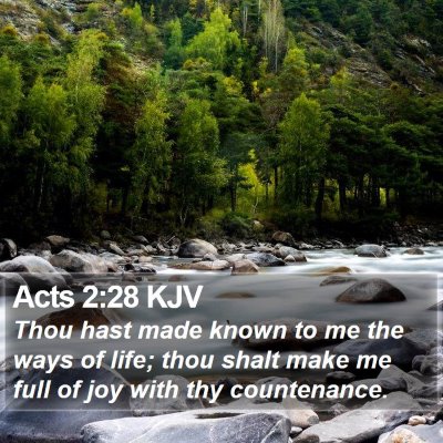 Acts 2:28 KJV Bible Verse Image