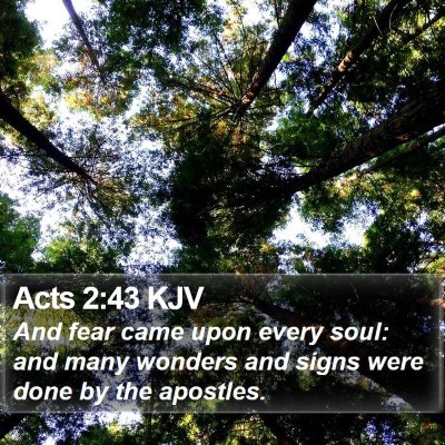 Acts 2:43 KJV Bible Verse Image