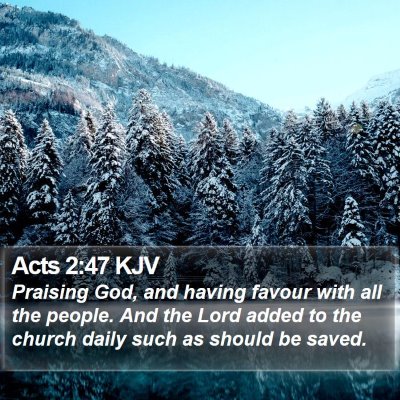 Acts 2:47 KJV Bible Verse Image