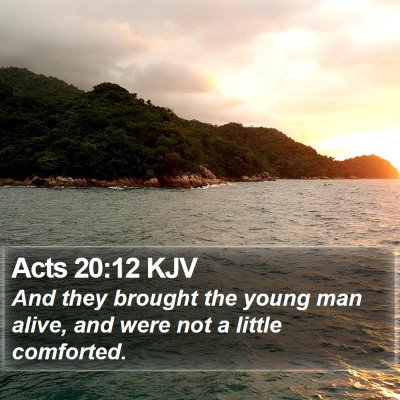 Acts 20:12 KJV Bible Verse Image