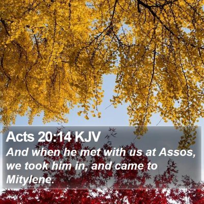 Acts 20:14 KJV Bible Verse Image