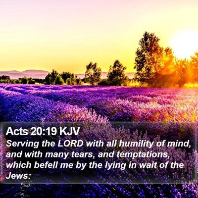 Acts 20:19 KJV Bible Verse Image