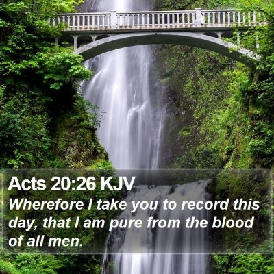Acts 20:26 KJV Bible Verse Image