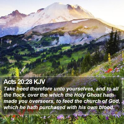Acts 20:28 KJV Bible Verse Image