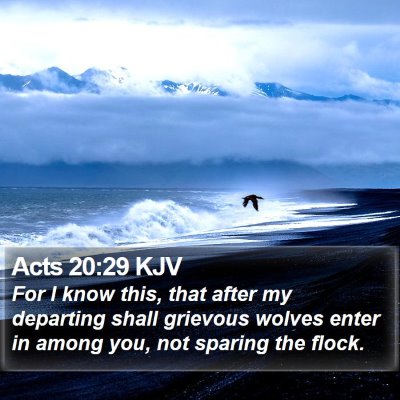 Acts 20:29 KJV Bible Verse Image