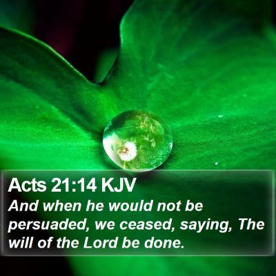 Acts 21:14 KJV Bible Verse Image