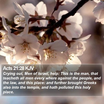 Acts 21:28 KJV Bible Verse Image