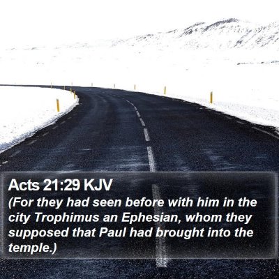 Acts 21:29 KJV Bible Verse Image