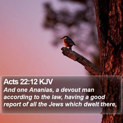 Acts 22:12 KJV Bible Verse Image
