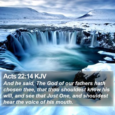 Acts 22:14 KJV Bible Verse Image