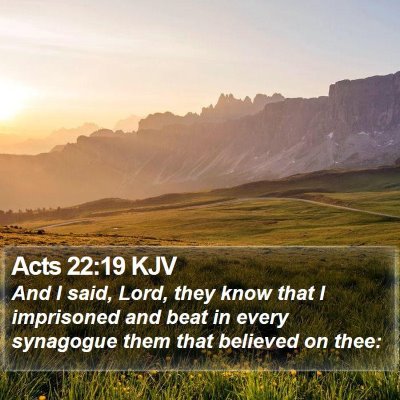 Acts 22:19 KJV Bible Verse Image