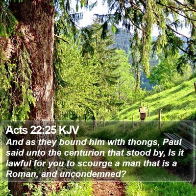 Acts 22:25 KJV Bible Verse Image