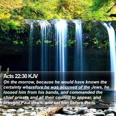Acts 22:30 KJV Bible Verse Image