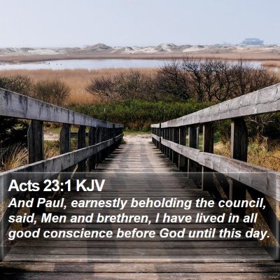 Acts 23:1 KJV Bible Verse Image