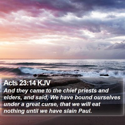 Acts 23:14 KJV Bible Verse Image
