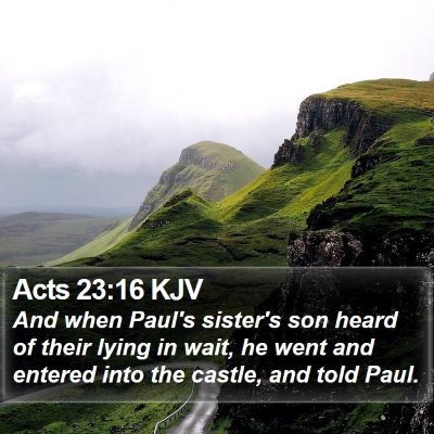 Acts 23:16 KJV Bible Verse Image