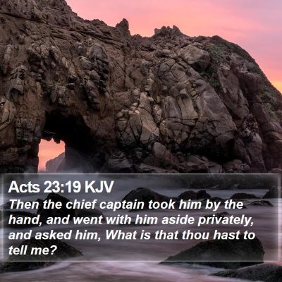 Acts 23:19 KJV Bible Verse Image