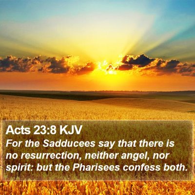 Acts 23:8 KJV Bible Verse Image