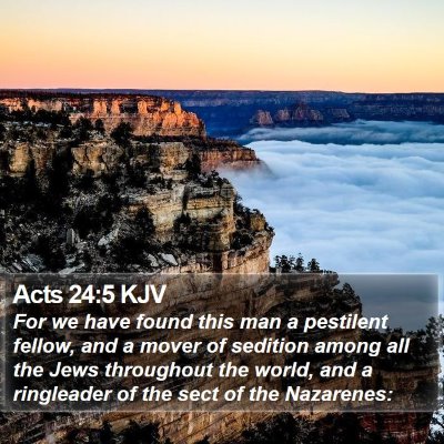 Acts 24:5 KJV Bible Verse Image