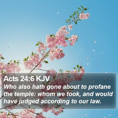Acts 24:6 KJV Bible Verse Image