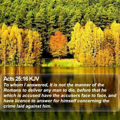 Acts 25:16 KJV Bible Verse Image