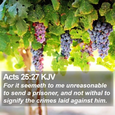 Acts 25:27 KJV Bible Verse Image