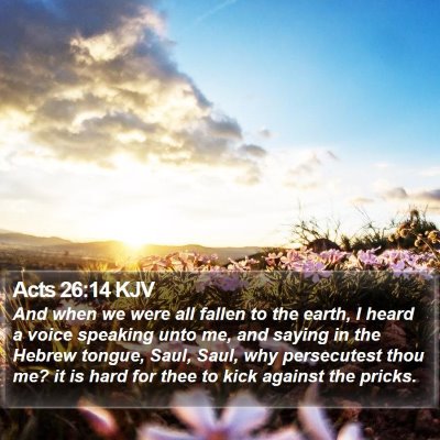 Acts 26:14 KJV Bible Verse Image