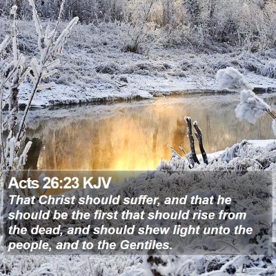 Acts 26:23 KJV Bible Verse Image