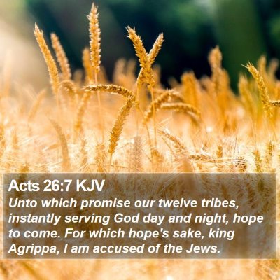 Acts 26:7 KJV Bible Verse Image