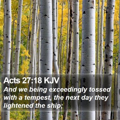 Acts 27:18 KJV Bible Verse Image