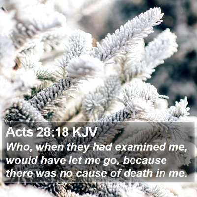 Acts 28:18 KJV Bible Verse Image